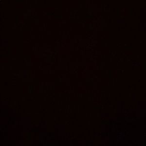 Meet your Posher, Charlee